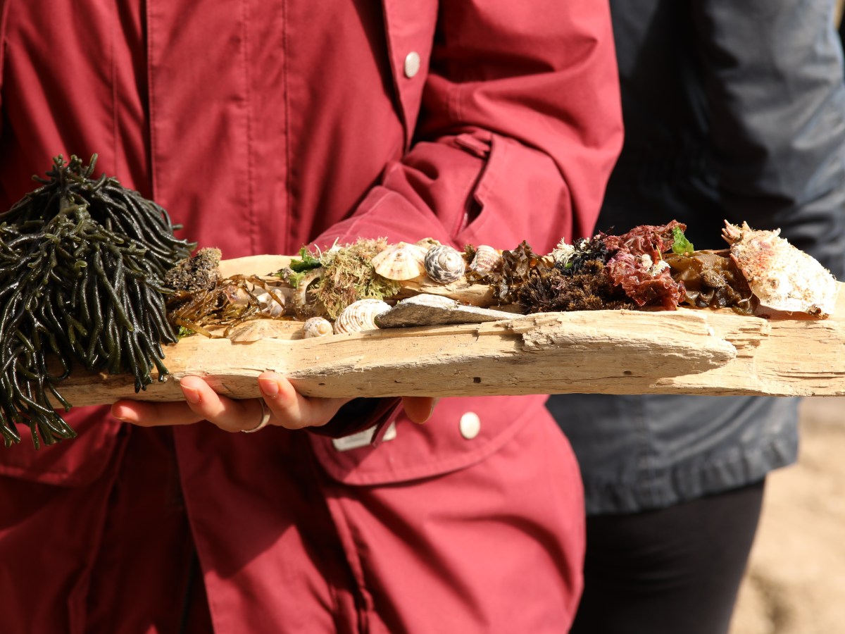 You Are a Marine&nbsp;Biologist?!