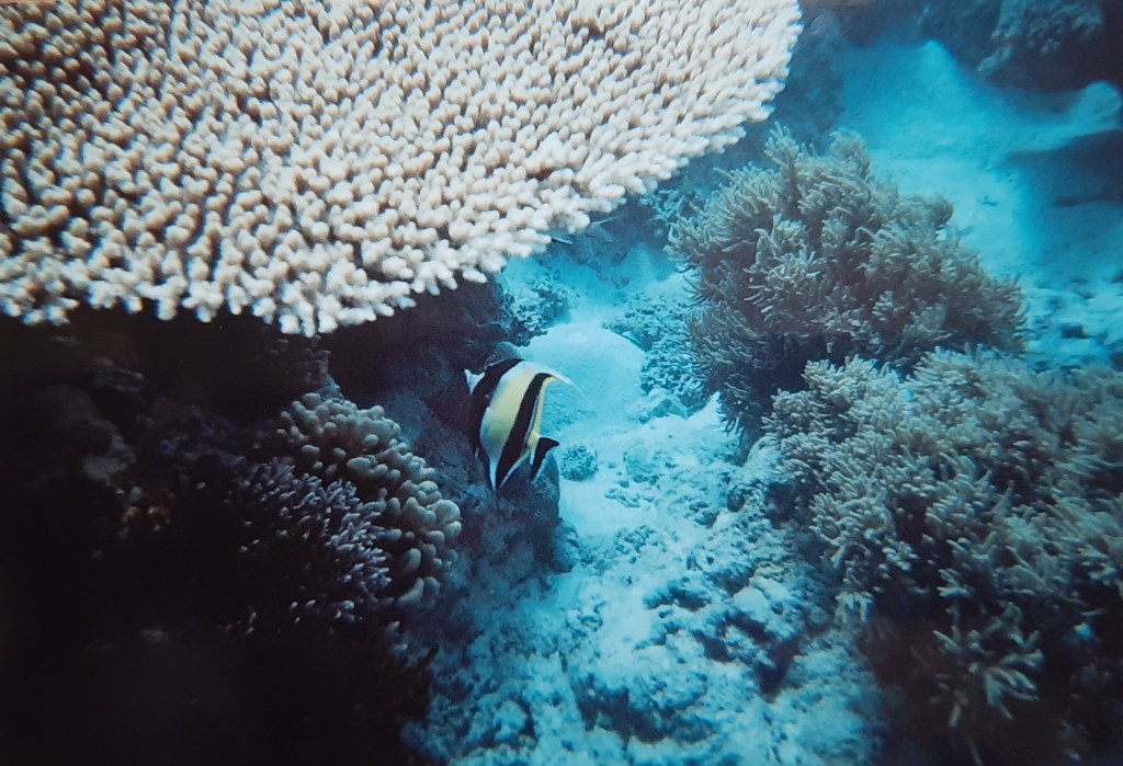 Great Barrier Reef