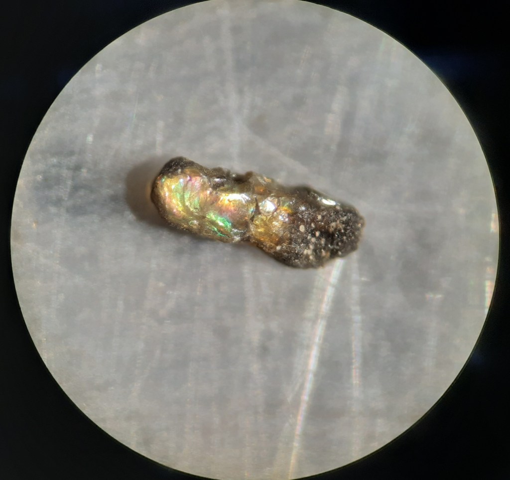 Zooming Into the&nbsp;Sediment