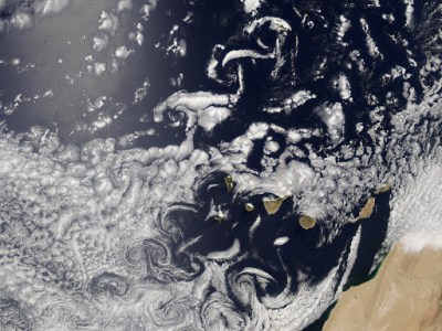 Canaria: Panza de&nbsp;burro