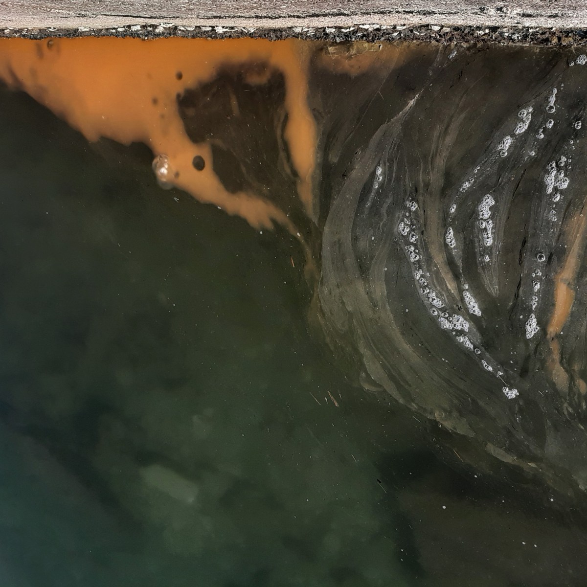 Nocti in the&nbsp;house