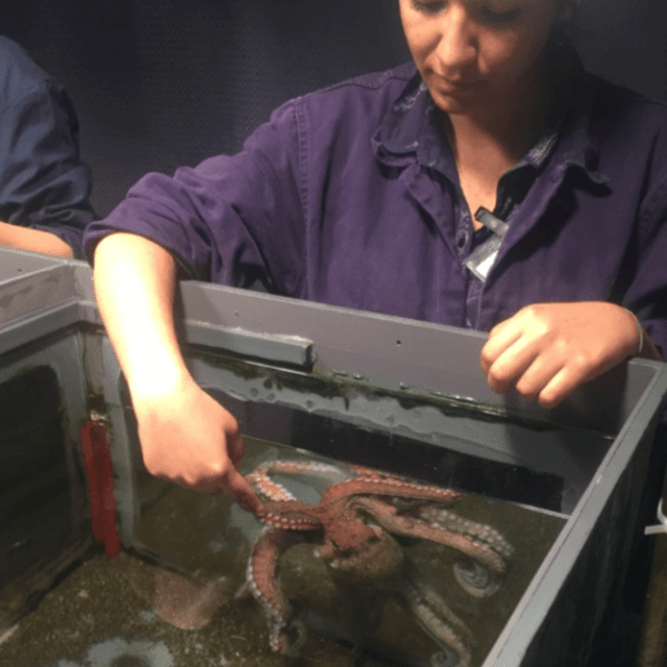 Are you shy or&nbsp;bold?