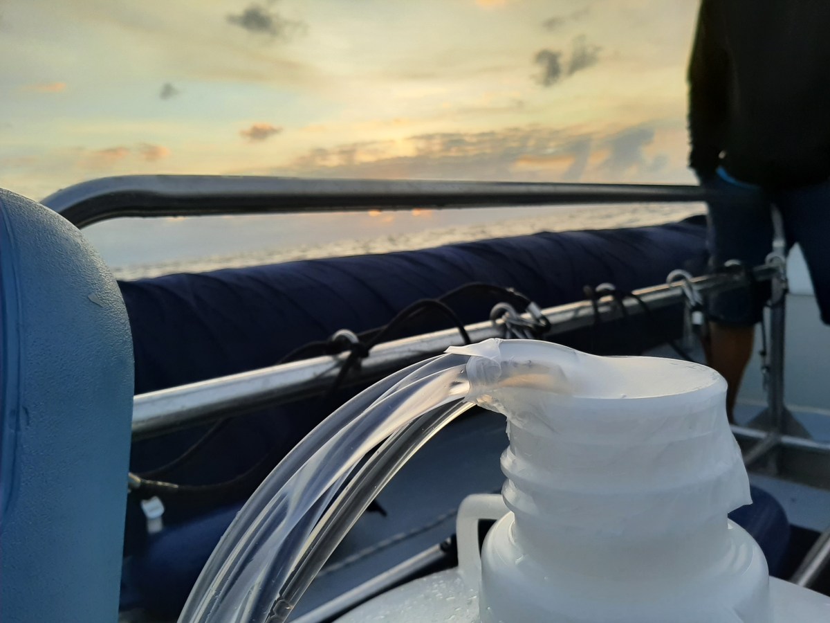 Conferencing on nutrient&nbsp;limitation