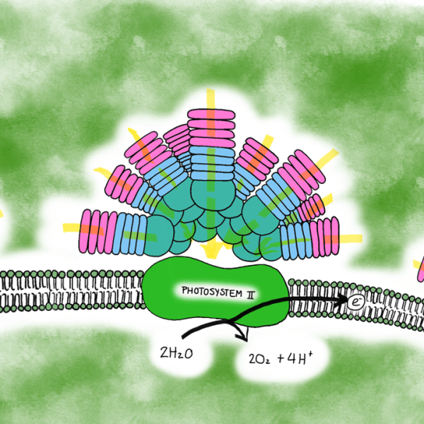 Extracting information from&nbsp;fluorescence